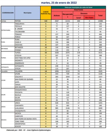 Reporte departamental del Sedes Potosí