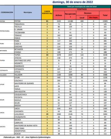 Reporte departamental del Sedes Potosí