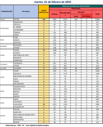 Reporte departamental del Sedes Potosí