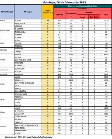 Reporte departamental del Sedes Potosí