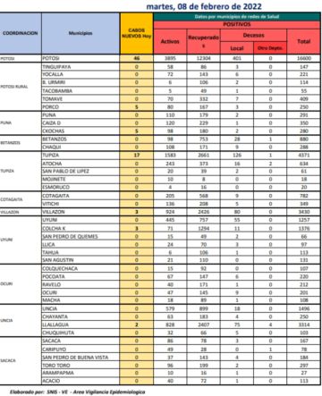 Reporte departamental del Sedes Potosí