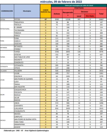 Reporte departamental del Sedes Potosí