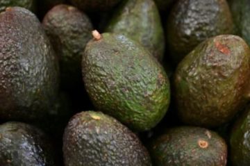 EEUU abre la puerta de nuevo a los aguacates de México