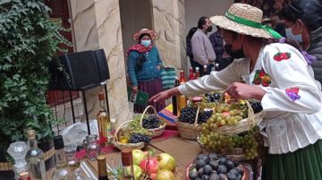 Municipio de Ckochas promociona su producción de frutas y licores