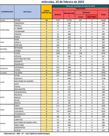 Reporte departamental del Sedes Potosí
