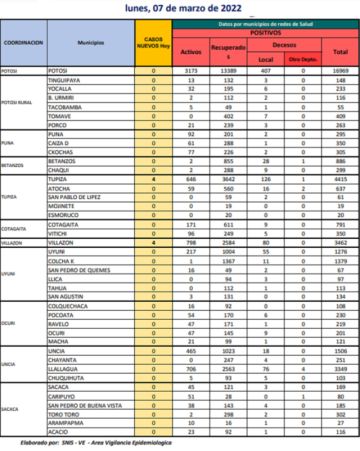 Reporte departamental del Sedes Potosí