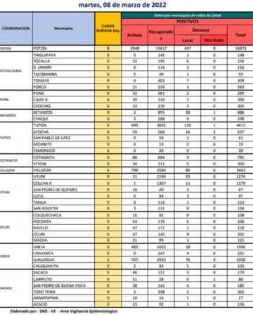 Reporte departamental del Sedes Potosí