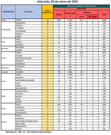 Reporte departamental del Sedes Potosí