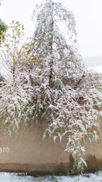Hay nevada en la región del duoeste, de acuerdo con el pronóstico.