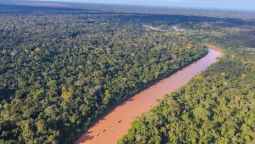 Más de 60 instituciones urgen a salvar el Madidi y anular concesiones mineras peligrosas