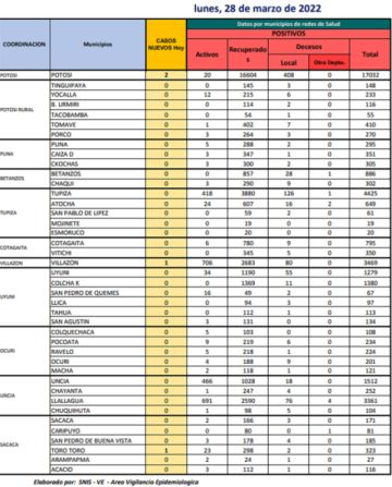Reporte departamental del Sedes Potosí