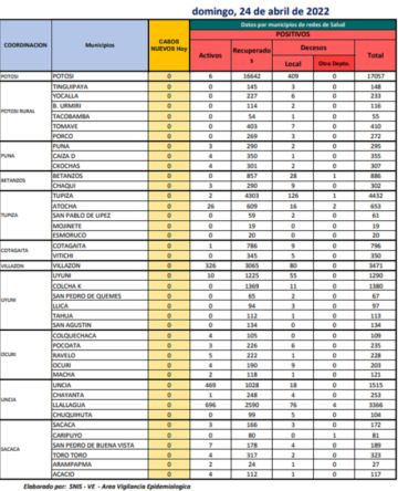 Reporte departamental del Sedes Potosí