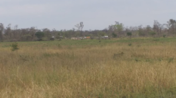 Guaraníes denuncian que su territorio en el chaco enfrenta desastre natural por la sequía