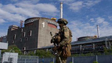 Una planta nuclear ucraniana en terreno controlado por Rusia "opera con normalidad"