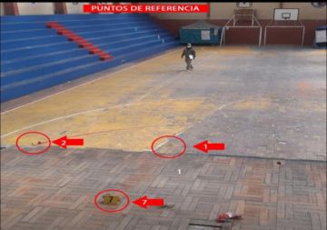 Imágenes publicadas por Del Castillo.