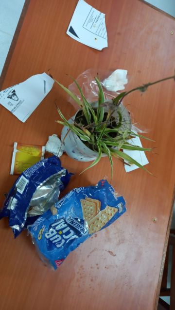 En la jornada de este lunes estaban en la escuela Divino Maestro para enseñar a los estudiantes, en cada curso, el proceso de selección de la basura 