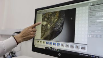 Colombia descubre una especie de tiburón extinta hace millones de años
