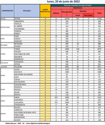 Reporte departamental del Sedes Potosí
