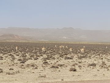 el sudoeste es la región más fría del Departamento.
