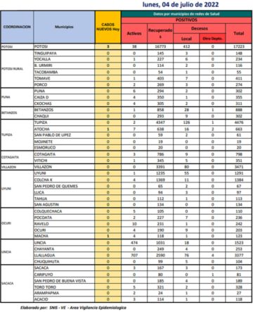 Reporte departamental del Sedes Potosí
