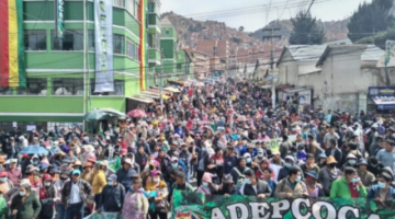 Adepcoca da ultimátum al Gobierno para cerrar mercado de coca ilegal hasta el 20 de julio