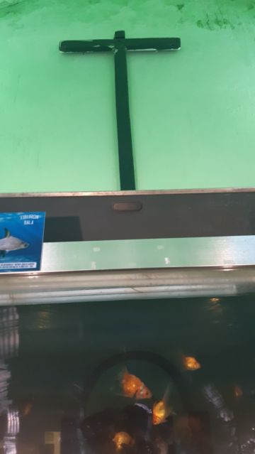 La cruz en la caja de agua de la que habla Chacón.