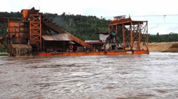 Sala Constitucional admite acción popular que busca frenar la minería que depreda el Madidi