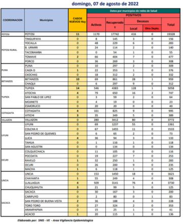 Reporte departamental del Sedes Potosí