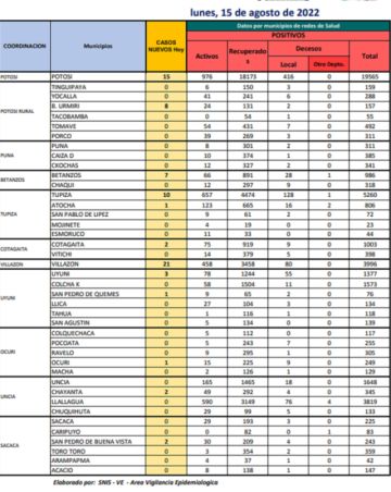 Reporte departamental del Sedes Potosí