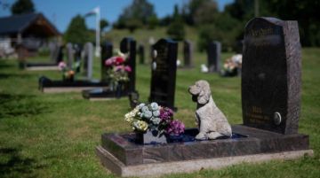 La inflación plantea dilemas a los británicos amantes de las mascotas