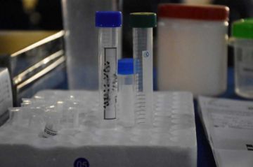 Ministerio de Salud descarta escalada de casos de viruela del mono e intensifica rastrillajes para detectarlos