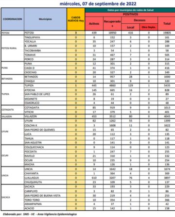 Reporte departamental del Sedes Potosí