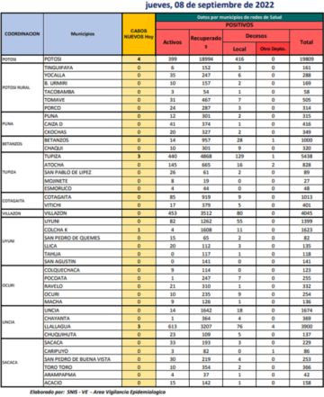 Reporte departamental del Sedes Potosí