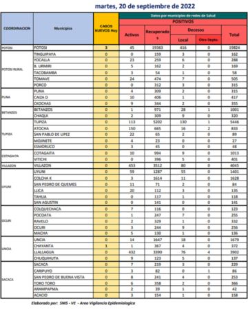 Reporte departamental del Sedes Potosí