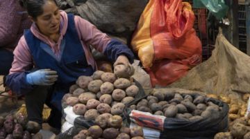 Sin papas "no hay vida" para los peruanos, ahogados por altos precios