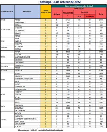 Reporte departamental del Sedes Potosí