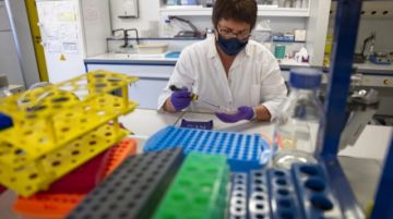 Los científicos insisten en la vía de las vacunas nasales contra el covid-19