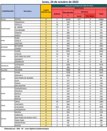 Reporte departamental del Sedes Potosí