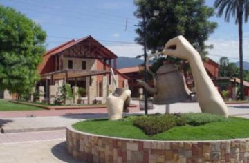 Municipio de Villa Montes es declarado endémico por casos de leishmaniasis visceral