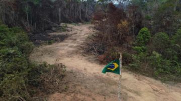 Brasil registra el peor octubre en deforestación desde 2015
