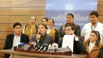 El MAS presenta un anteproyecto de ley para garantizar la redistribución de escaños 