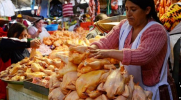 Avicultores de Cochabamba ven inevitable que la carne de pollo suba este fin de año