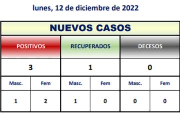 Reporte departamental del Sedes Potosí