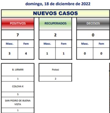 Reporte departamental del Sedes Potosí