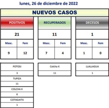 Reporte departamental del Sedes Potosí
