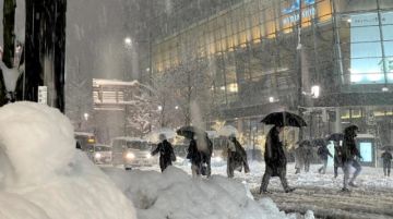 Reportan que hubo 17 muertos en Japón a causa de las fuertes nevadas