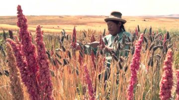 Comunarios dicen que desastres naturales afectan la nación Lípez