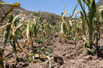 Potosí no descarta declararse en zona de desastre natural