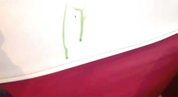 Vecinos alertan: Ladrones vuelven a actuar en micros