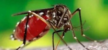 Centro Covid Sevilla tiene tres pacientes internados de dengue